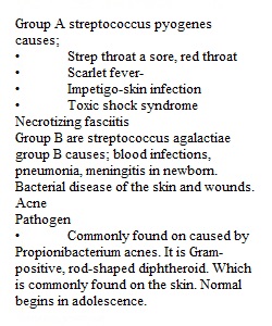 Homework 29 Part 2